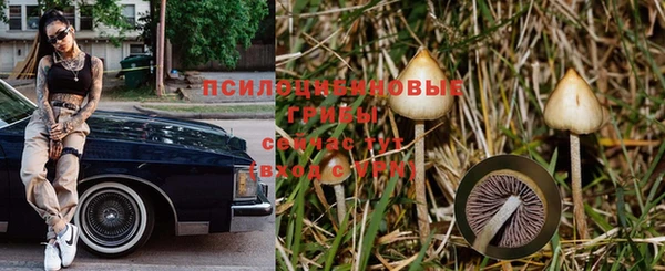 a pvp Зеленодольск