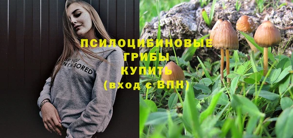 МДПВ Зерноград