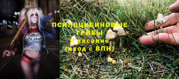 a pvp Зеленодольск